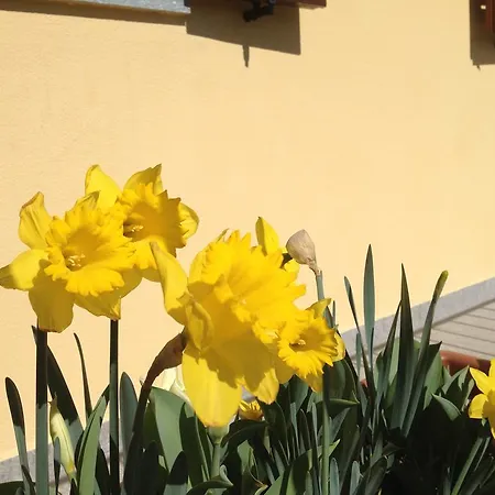 Agriturismo Il Volo *