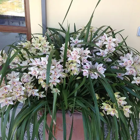 Farmház Agriturismo Il Volo Calosso