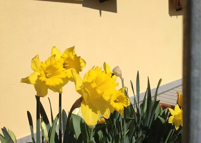 Agriturismo Il Volo *