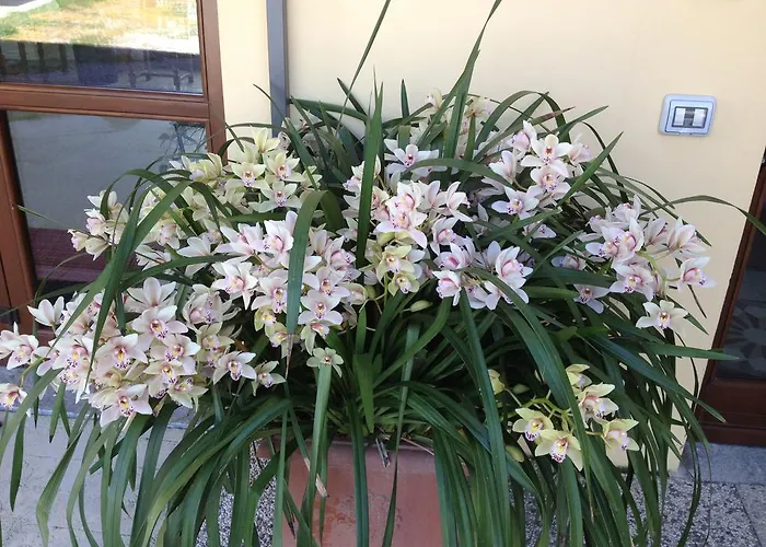 Alloggio per agriturismo Agriturismo Il Volo Calosso